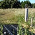 entarboretum